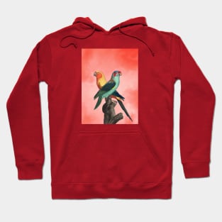 The Birds and the pink sky I Hoodie